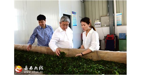 Liu Yongfu,director of the Starte Councils State Council,came to the company to investigate