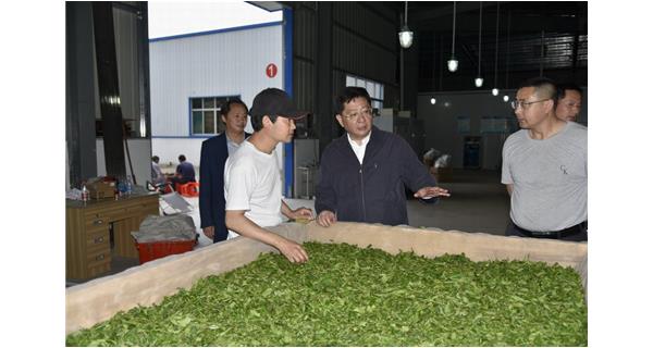 Party committee secretary Wei Xiaoming and his party came to the company for investigation