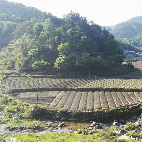 Base construction